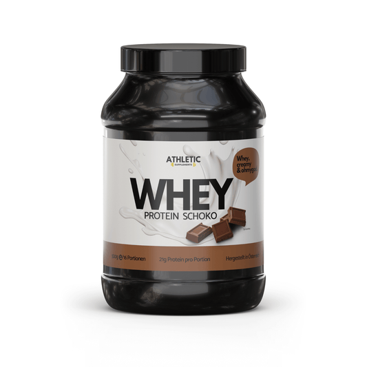 Whey Protein Schoko 500g